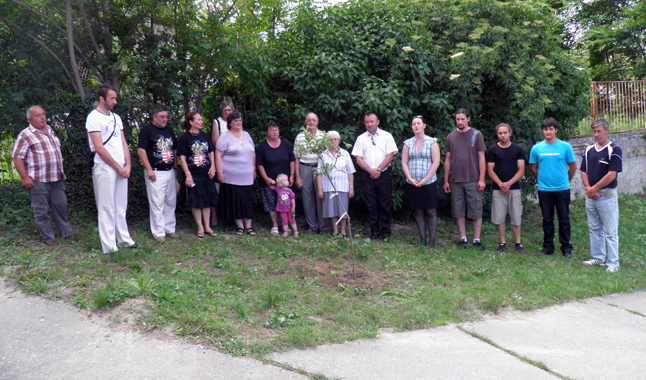 06-csza-almafa 06-csza-almafa