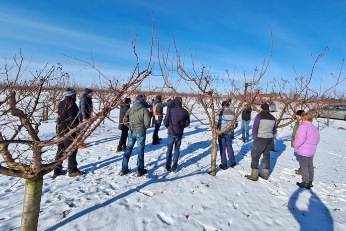 10-metszés-hugyik--(8)