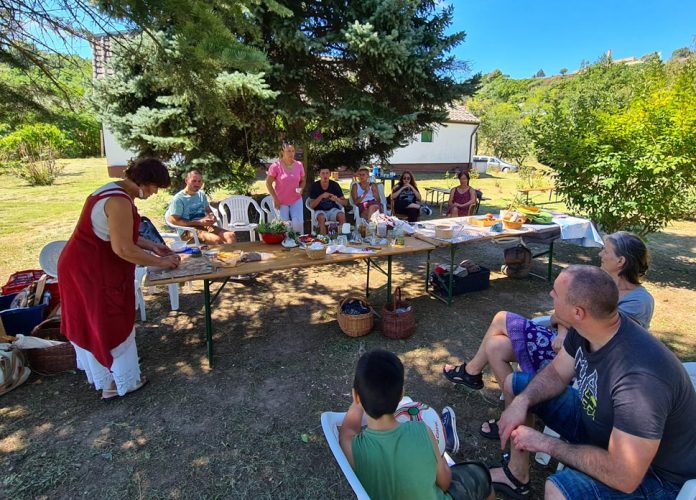 10-balint_kepzes-(5)