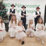 advent_pelmonostor2