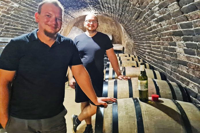 12-meszaros_pince-(5)