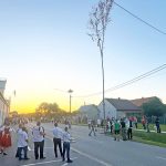 04-05-06-majusfak_3haraszti-(1)