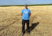 Rekord búzatermés a biotermékeknek köszönhetően