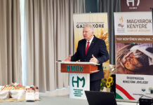 Lisztadományozó összejövetel és kerekasztal-beszélgetés Vörösmarton