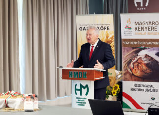 Lisztadományozó összejövetel és kerekasztal-beszélgetés Vörösmarton