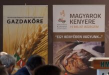 Adományozó ünnepélyt és kerekasztal-beszélgetést tartott a HMDK Gazdaköre Vörösmarton