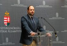 Nacsa Lőrinc: Megjelent az Erősödő Kárpát-medence program felhívása