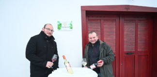 Vince-napra hangoló pincelátogatás Vörösmarton