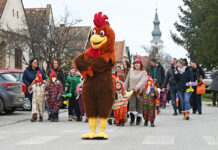 Kakasok, fánk és farsangi forgatag a 24. várdaróci kakas-ütésen