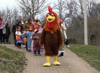 Kukorékolással „űzték” el a telet Várdarócon