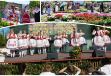 Nagykorú lett a Dályhegyi Virágfesztivál – egy kis közösség sikertörténete virágba borulva