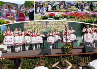 Sajam cvijeća u Dalj Planini