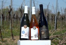 A drávaszögi Arany-hegyen lévő Mons Aureus pincészetben jártunk