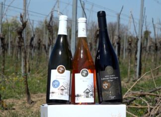 A drávaszögi Arany-hegyen lévő Mons Aureus pincészetben jártunk