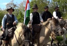 Nyeregből a szavazóurnához – négy lovas különös drávaszögi kitérője