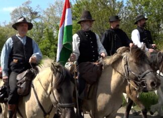 Nyeregből a szavazóurnához – négy lovas különös drávaszögi kitérője