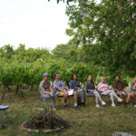 06-07-szabadeg-(2)