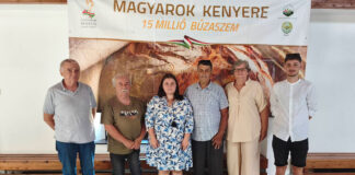 Somberek: a gazdák közötti kapcsolatok átívelnek a határokon is