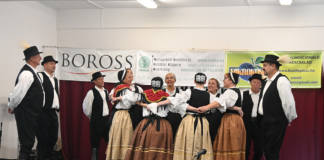 Kopácsi táncosok a kisharsányi borünnepen
